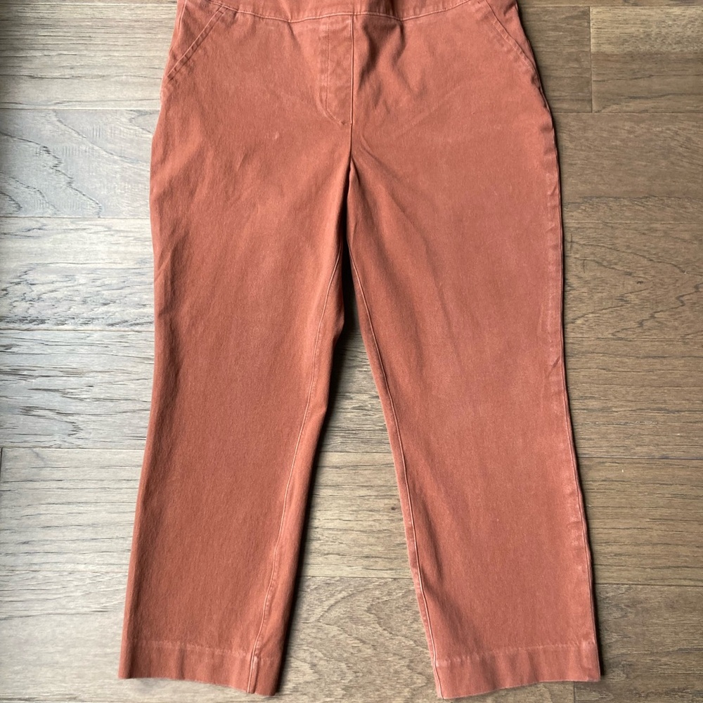 Women’s Spanx On the Go Terracotta Capri Straight Leg Pant-PETITE Large